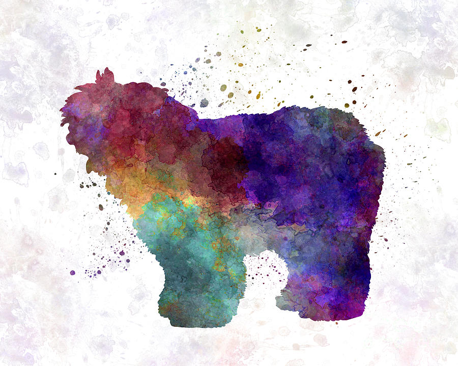900x720 Old English Sheepdog Bobtail In Watercolor Painting By Pablo Romero - Old English Sheepdog Painting