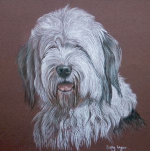 299x300 Old English Sheepdog Pictures Paintings And Portraits Plus Dog - Old English Sheepdog Painting