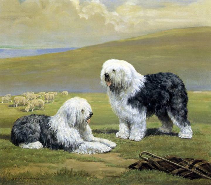 720x632 Edwin Megargee Old English Sheepdogs Print - Old English Sheepdog Painting