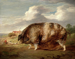 300x236 Gloucestershire Old Spot Signed In Brown Paint Painting By Litz - Old Farmer And Wife Painting