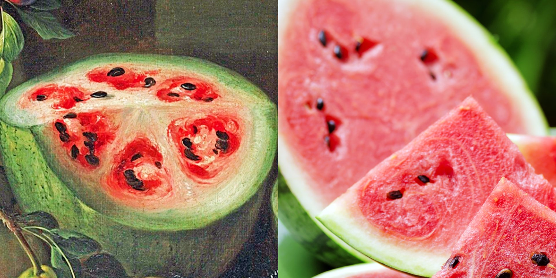 1920x960 Fruits And Vegetables Before And After Human Domestication - Old Painting Of Watermelon