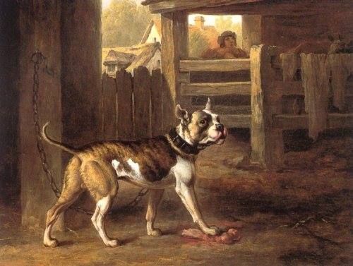 500x377 Old English Bulldog In A Painting By Philip Reynagla (1790 - Olde England Painting