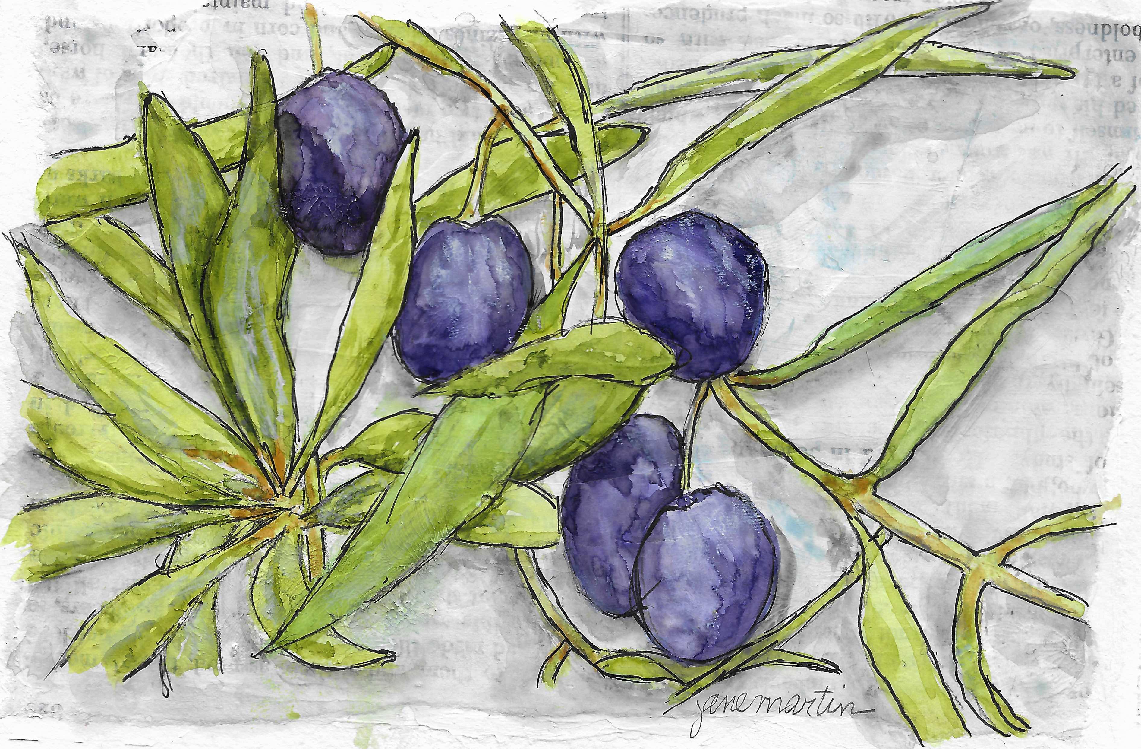 3785x2483 The Offering Of An Olive Branch Mary Jane's Studio - Olive Branch Painting