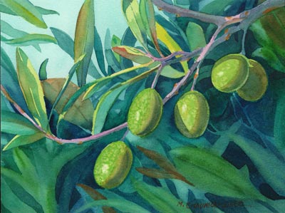 400x299 Mcj Painting A Day Olive Branch - Olive Painting