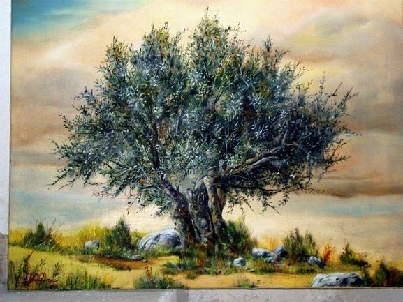 577x433 Olive Tree Paintings - Olive Painting