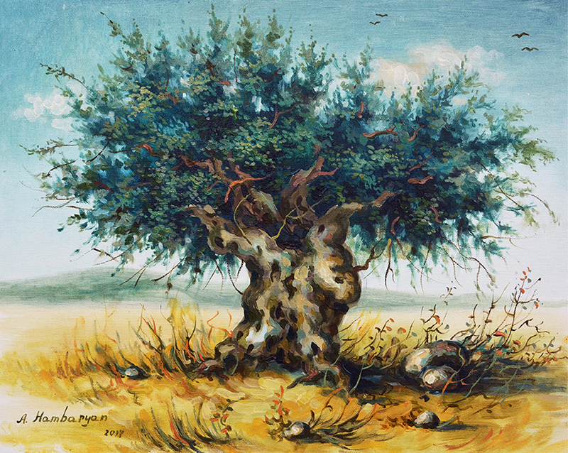 800x638 The Ancient Olive Tree Artwork, Prints, Landscape Amp Village Life - Olive Painting