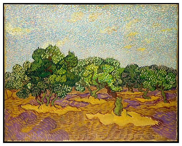 600x483 Vincent Van Gogh Painting Of The Olive Trees Saint High - Olive Painting