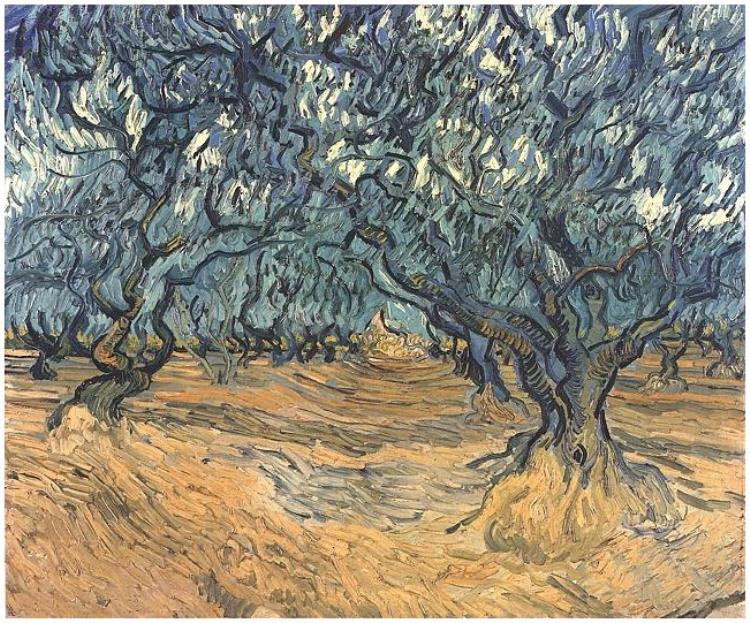 750x623 Olive Trees By Vincent Van Gogh - Olive Tree Painting