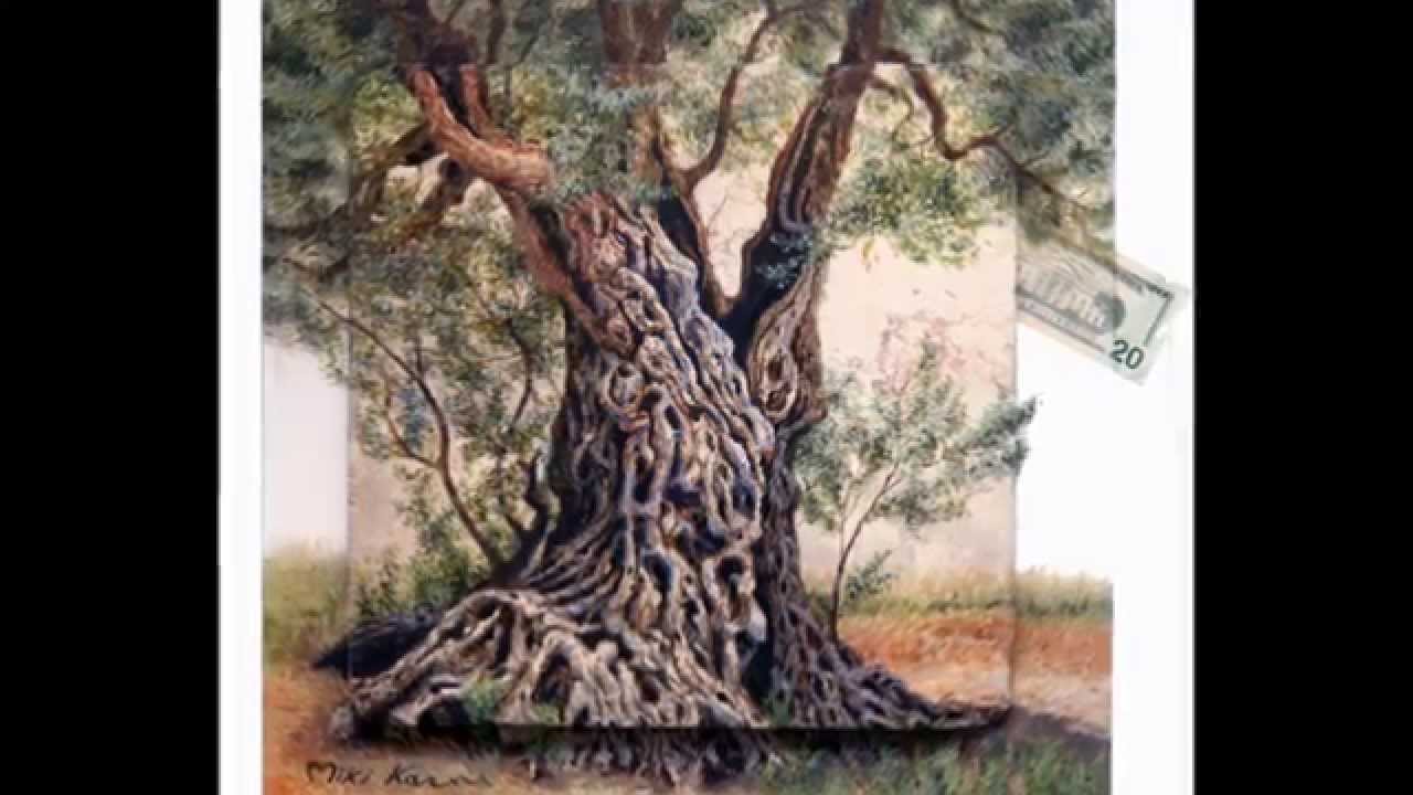 1280x720 The Olive Tree - Olive Tree Painting