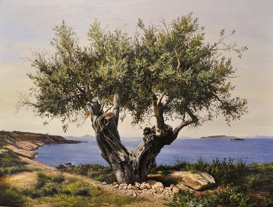 900x683 The Olive Tree Olives Impressionism And Paintings - Olive Tree Painting