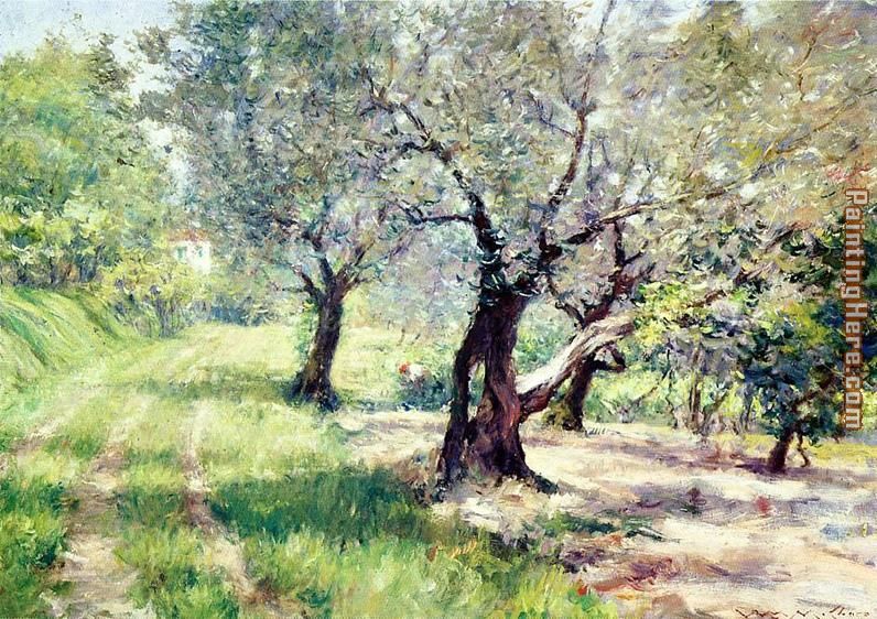 796x562 William Merritt Chase The Olive Grove Painting Anysize 50% Off - Olive Tree Painting