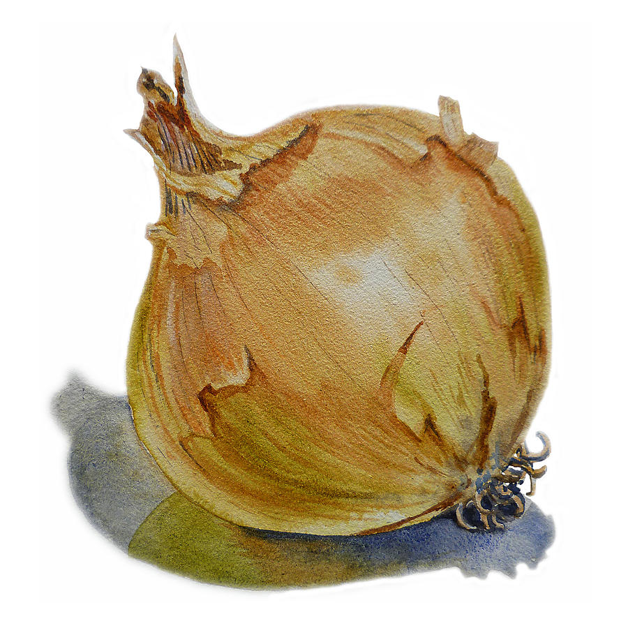 900x900 Onion Painting By Irina Sztukowski - Onion Painting