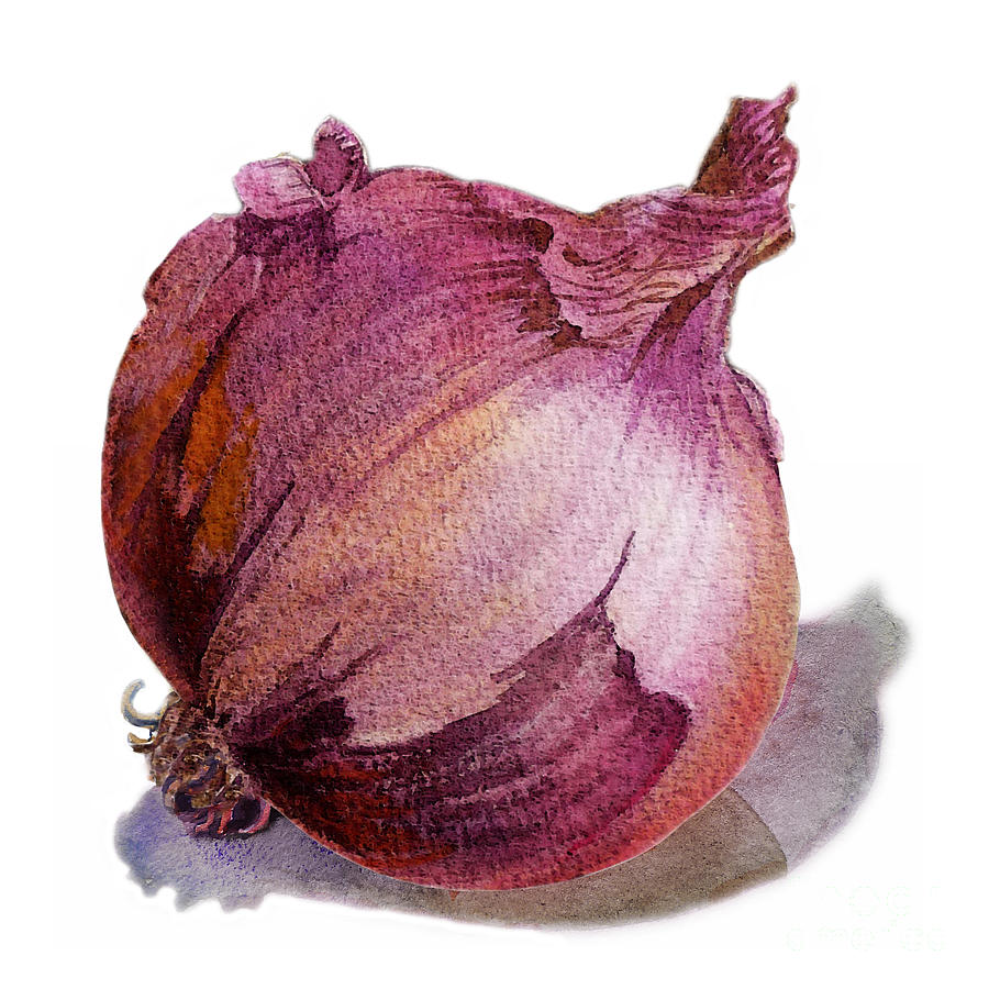 900x900 Red Onion Painting By Irina Sztukowski - Onion Painting