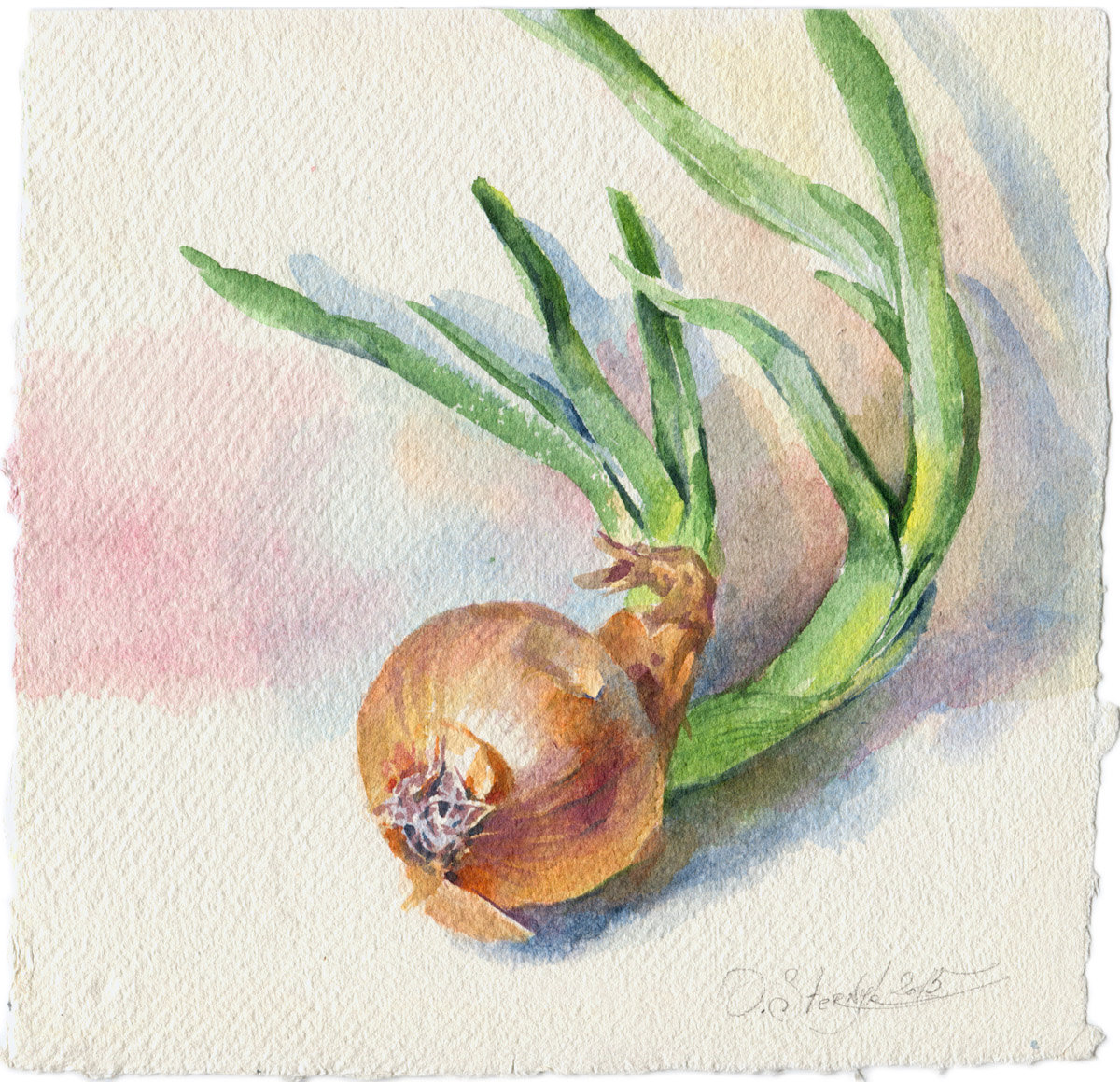 1200x1159 Watercolor Vegetable Painting Green Onion Painting - Onion Painting