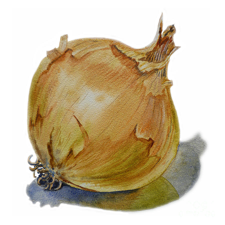 900x900 Yellow Onion Painting By Irina Sztukowski - Onion Painting