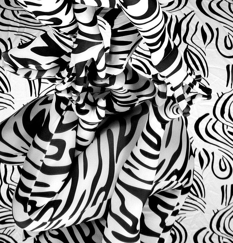 800x837 More Like Zentai Zebra Opart Two By Anonymous Art - Op Art Painting