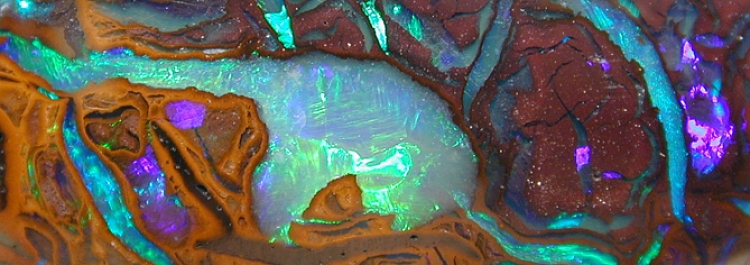 750x265 The National Opal Collection Types Of Opals Black Opals, White - Opal Painting