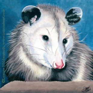 308x308 Leanne Wildermuth Artist By Nature Pet Portrait - Opossum Painting