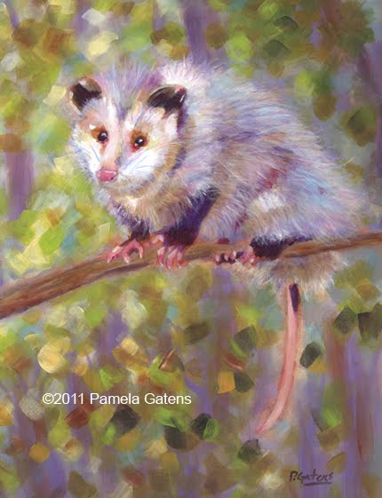 430x561 Painting Colorful Cats Amp Flowers Dr. Sandford's Opossum - Opossum Painting