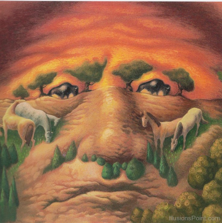 736x740 Painting Optical Illusion - Optical Illusion Painting