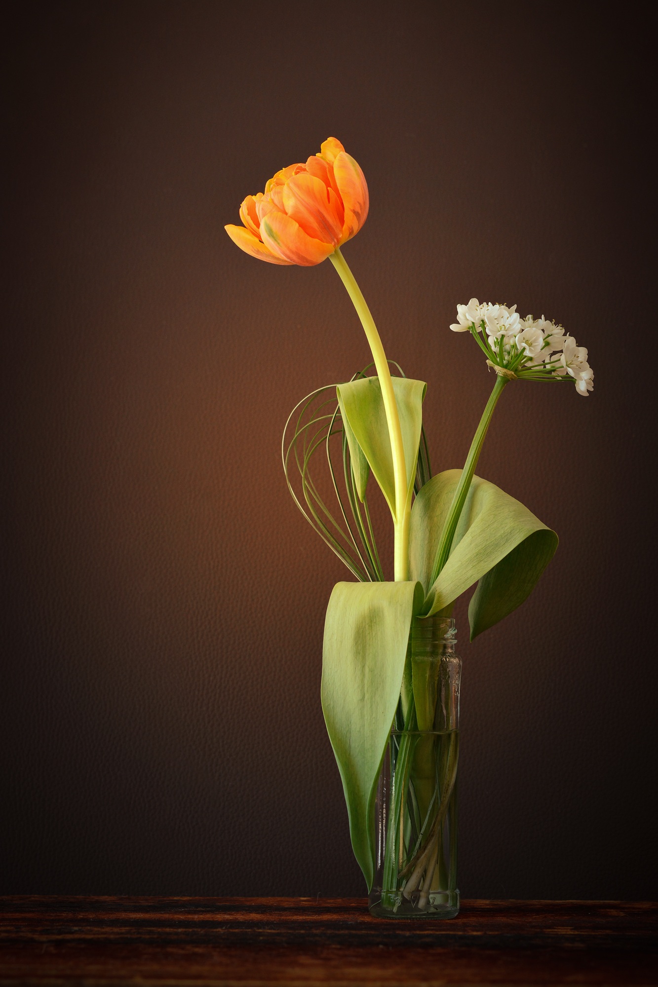 1333x2000 Free Images White, Bloom, Glass, Tulip, Vase, Decoration, Green - Orange Blossom Painting