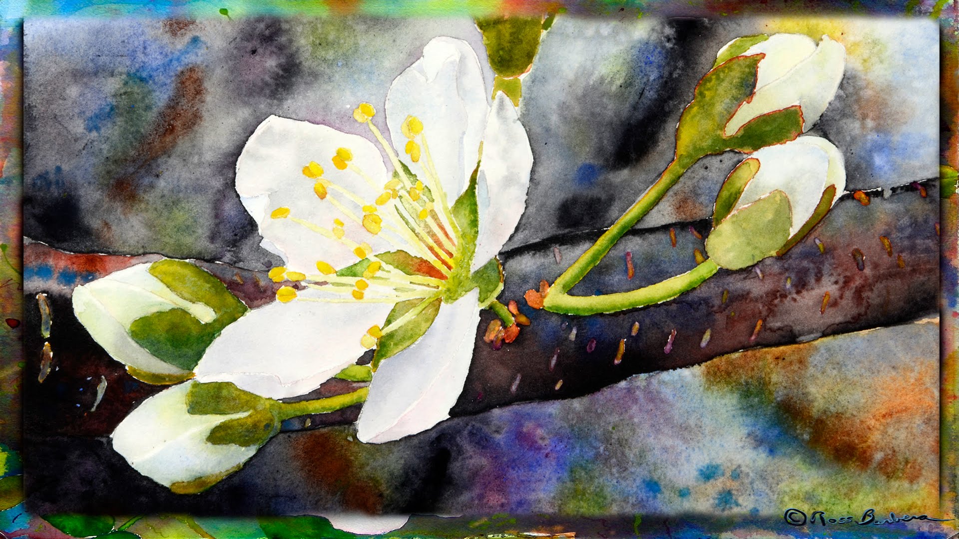 1920x1080 How To Paint The Cherry Blossom In Watercolor, Part 1 - Orange Blossom Painting