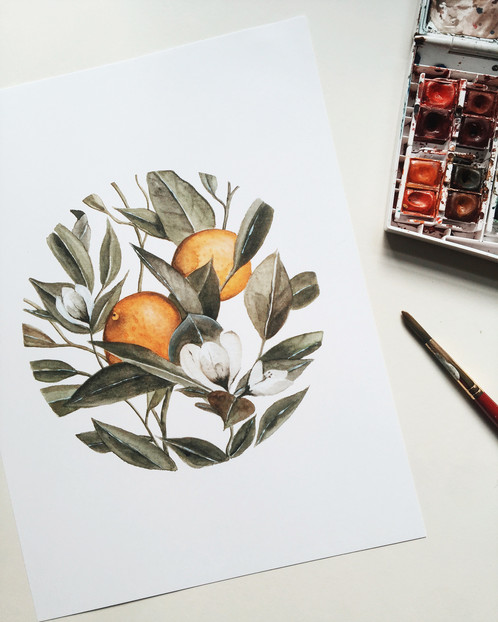 498x622 Orange Blossom Watercolor Painting - Orange Blossom Painting