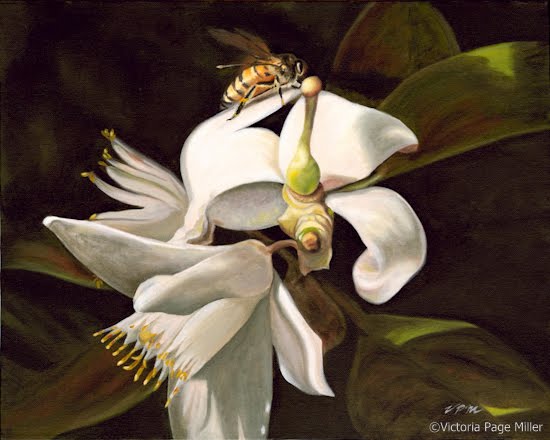 550x440 Vp Miller Fine Art Orange Blossoms And Honey Bee Oil Painting - Orange Blossom Painting