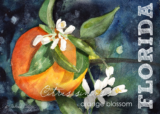 525x375 Florida Watercolor Aceo State Flowers Orange Blossom - Orange Blossom Painting