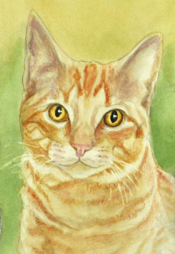 Orange Cat Painting at PaintingValley.com | Explore collection of ...