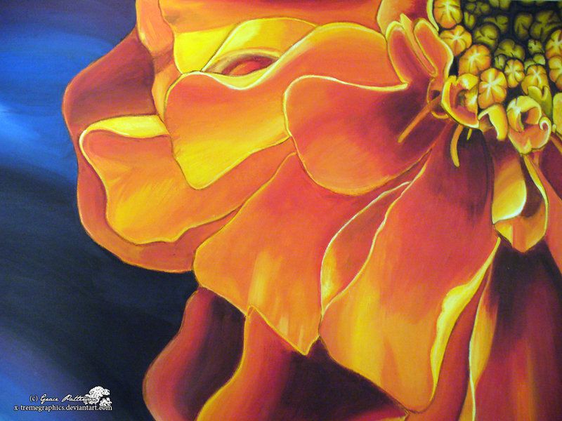 800x600 Orange Flower Painting By X Tremegraphics On Painting - Orange Flower Painting