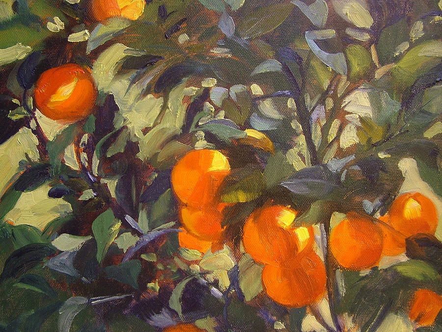 900x675 Florida Orange Grove Paintings Fine Art America - Orange Grove Painting