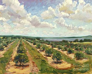300x240 Lake Easy Grove Painting By Blair Updike - Orange Grove Painting