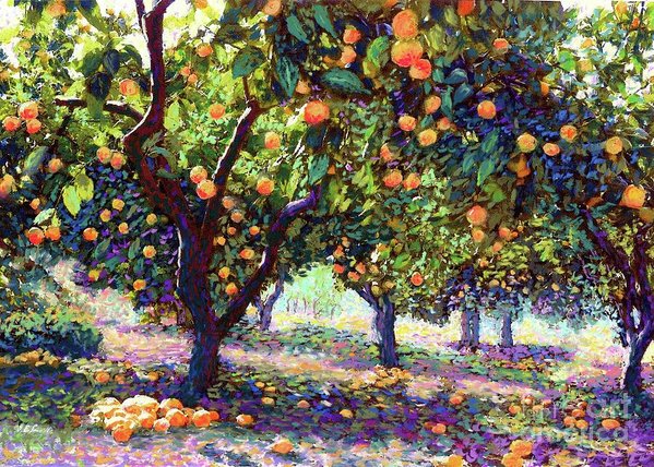 599x428 Orange Grove Of Citrus Fruit Trees Art Print By Jane Small - Orange Grove Painting