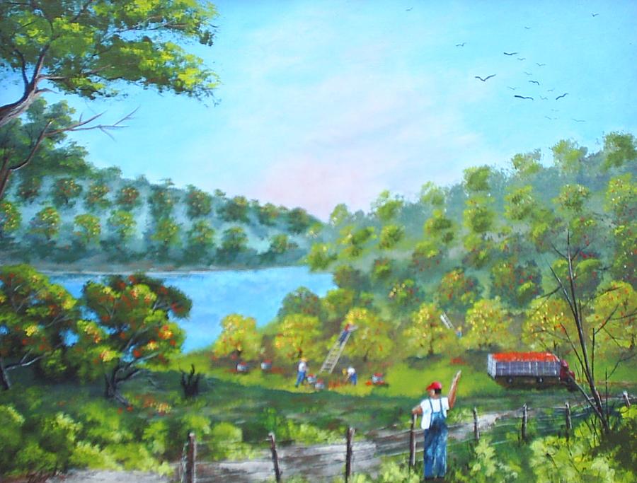 900x683 Florida Orange Grove Painting By Dennis Vebert - Orange Grove Painting