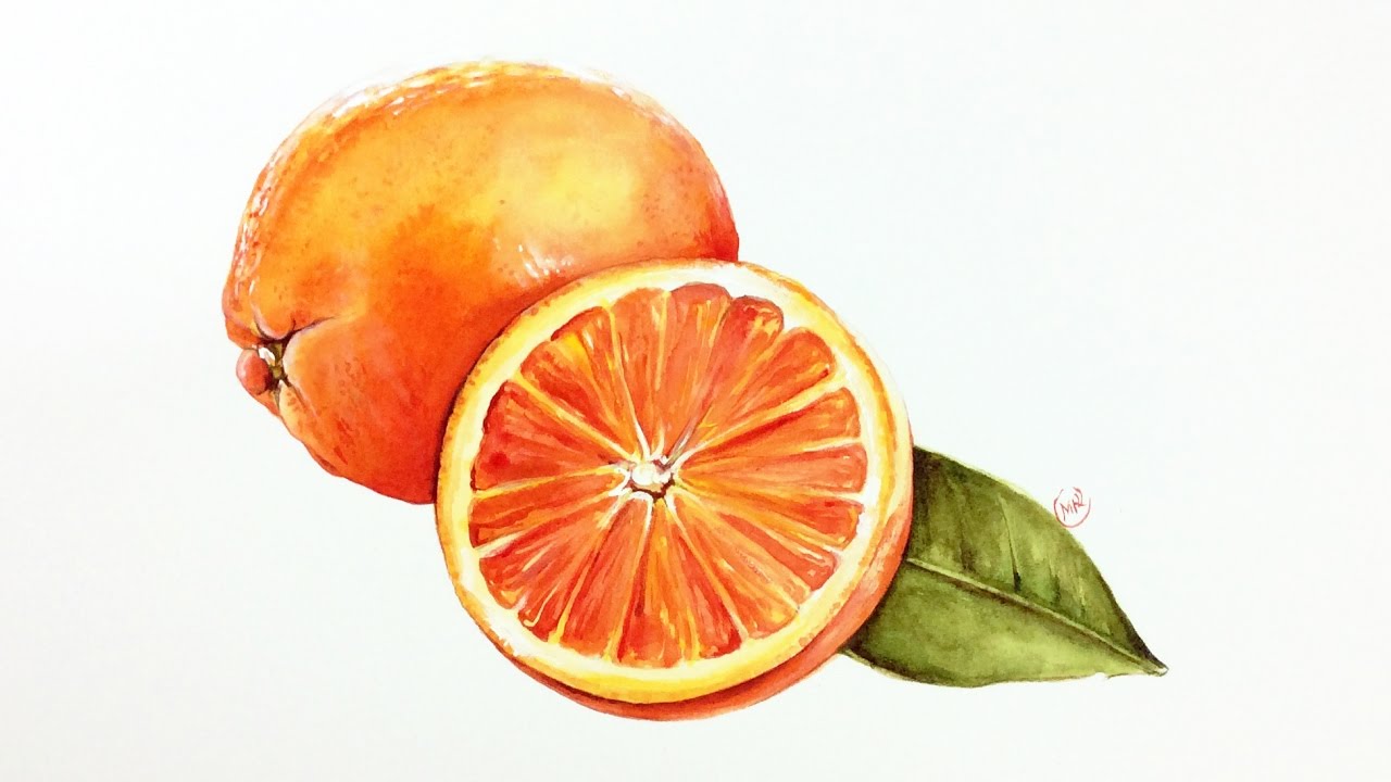1280x720 Watercolor Oranges Painting Demonstration - Orange Painting