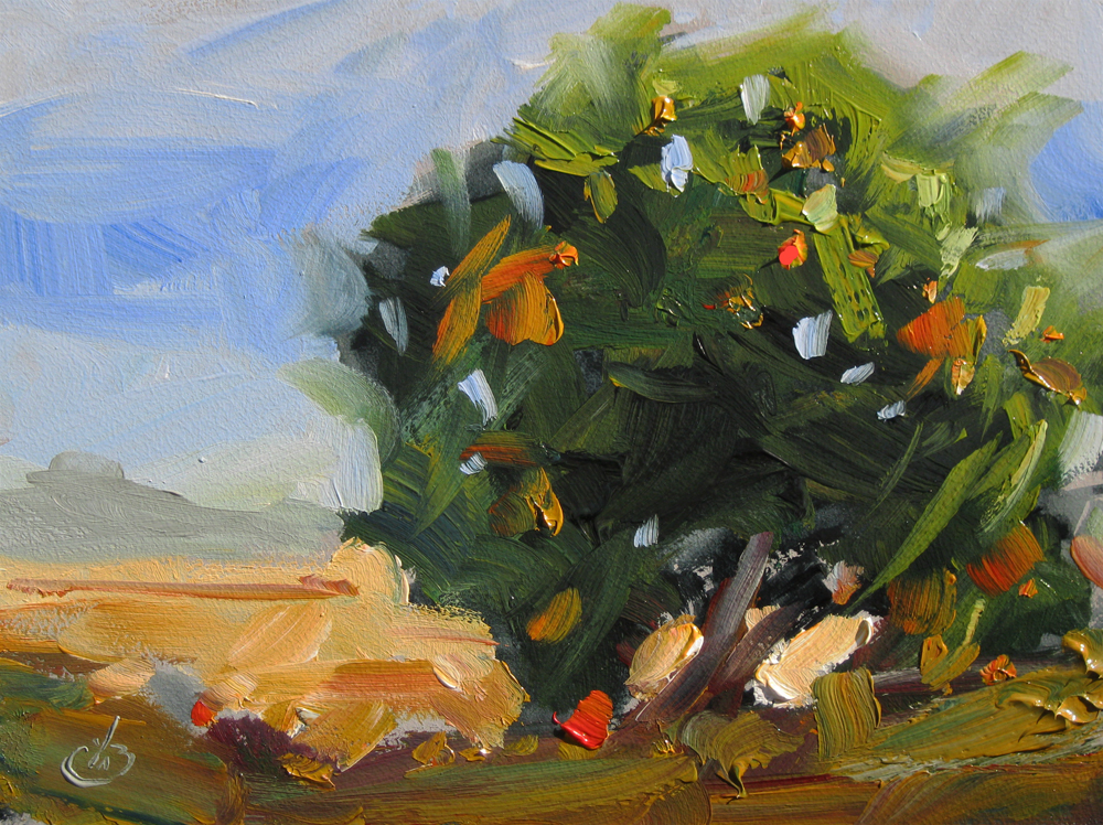 1000x748 Tom Brown Fine Art Orange Tree, 6x8 California Impressionist - Orange Tree Painting