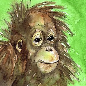 300x300 Orangutan Painting - Orangutan Painting