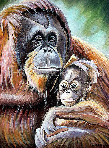369x500 Orangutan Painting I Am Happy To Present This Painting By - Orangutan Painting