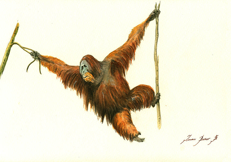 900x631 Orangutan Painting By Juan Bosco - Orangutan Painting