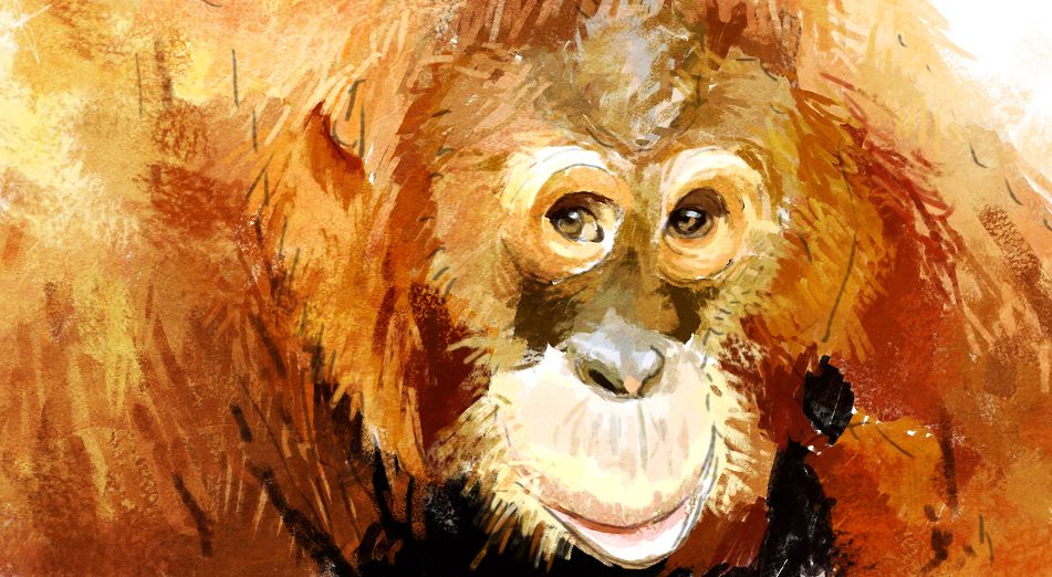 951x522 Orangutan Paintings - Orangutan Painting