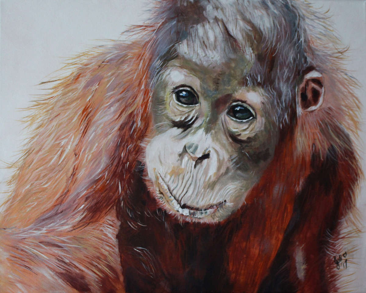 Orangutan Painting at PaintingValley.com | Explore collection of ...