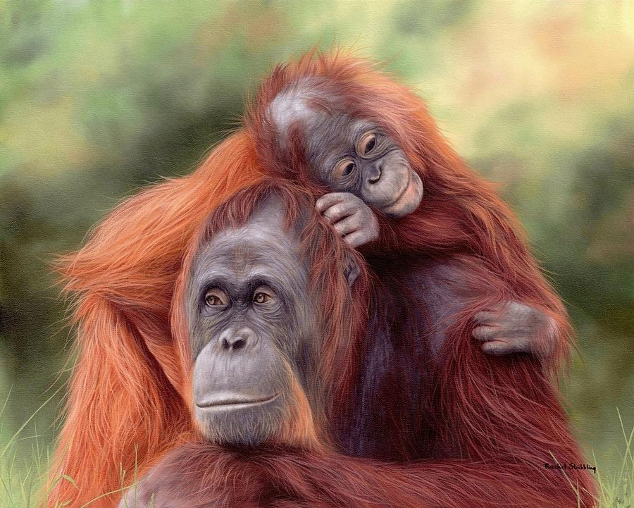900x721 Orangutans Painting Painting By Rachel Stribbling - Orangutan Painting