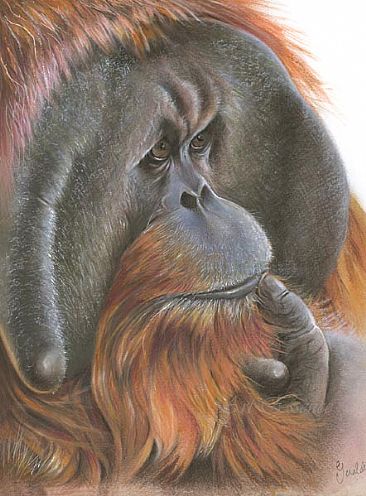 366x496 Male Orangutan - Orangutan Painting
