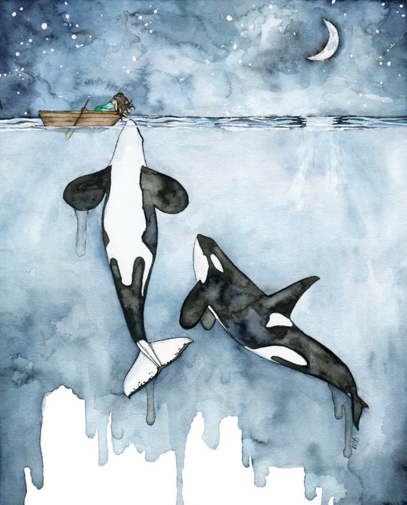 570x708 Orca Painting Watercolor Painting Whale Painting Orca - Orca Painting
