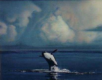 411x325 Orca Painting By Angel Ortiz - Orca Painting