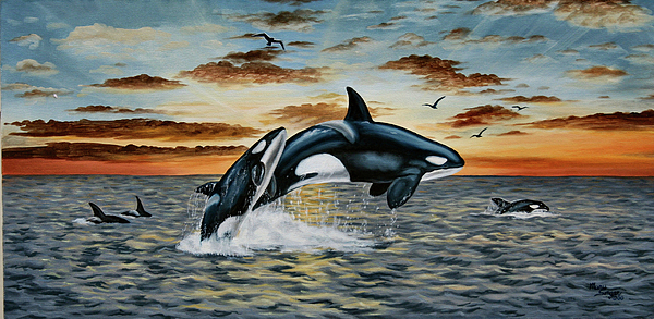 600x293 Orca Sunset Painting By Mary Singer - Orca Painting