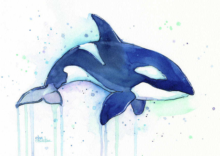 900x642 Orca Whale Watercolor Killer Whale Facing Right Painting By Olga - Orca Painting
