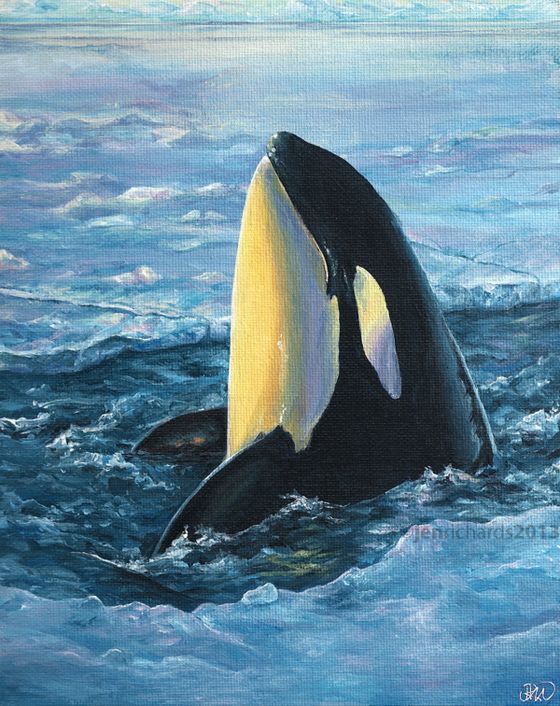 560x706 Break Out - Orca Painting