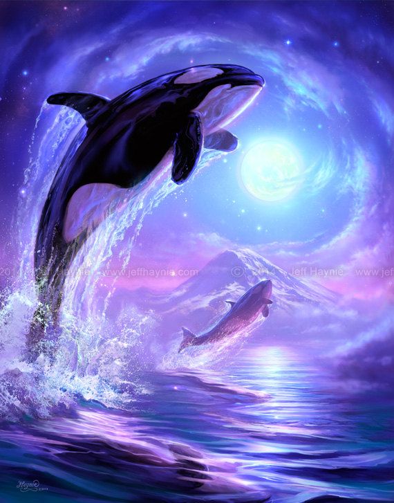 570x727 Orca Art 8 X 10 Print Art Print Orca Painting Killer - Orca Painting